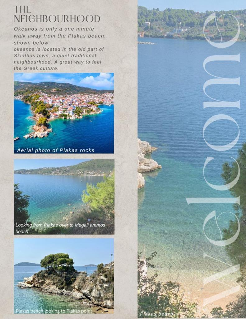 Okeanos Διαμέρισμα Σκιάθος Πόλη Εξωτερικό φωτογραφία